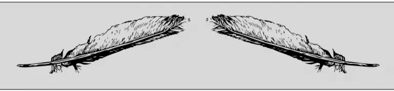 Employment Contracts and Copyrights