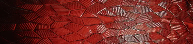 Ruby for the .NET Developer