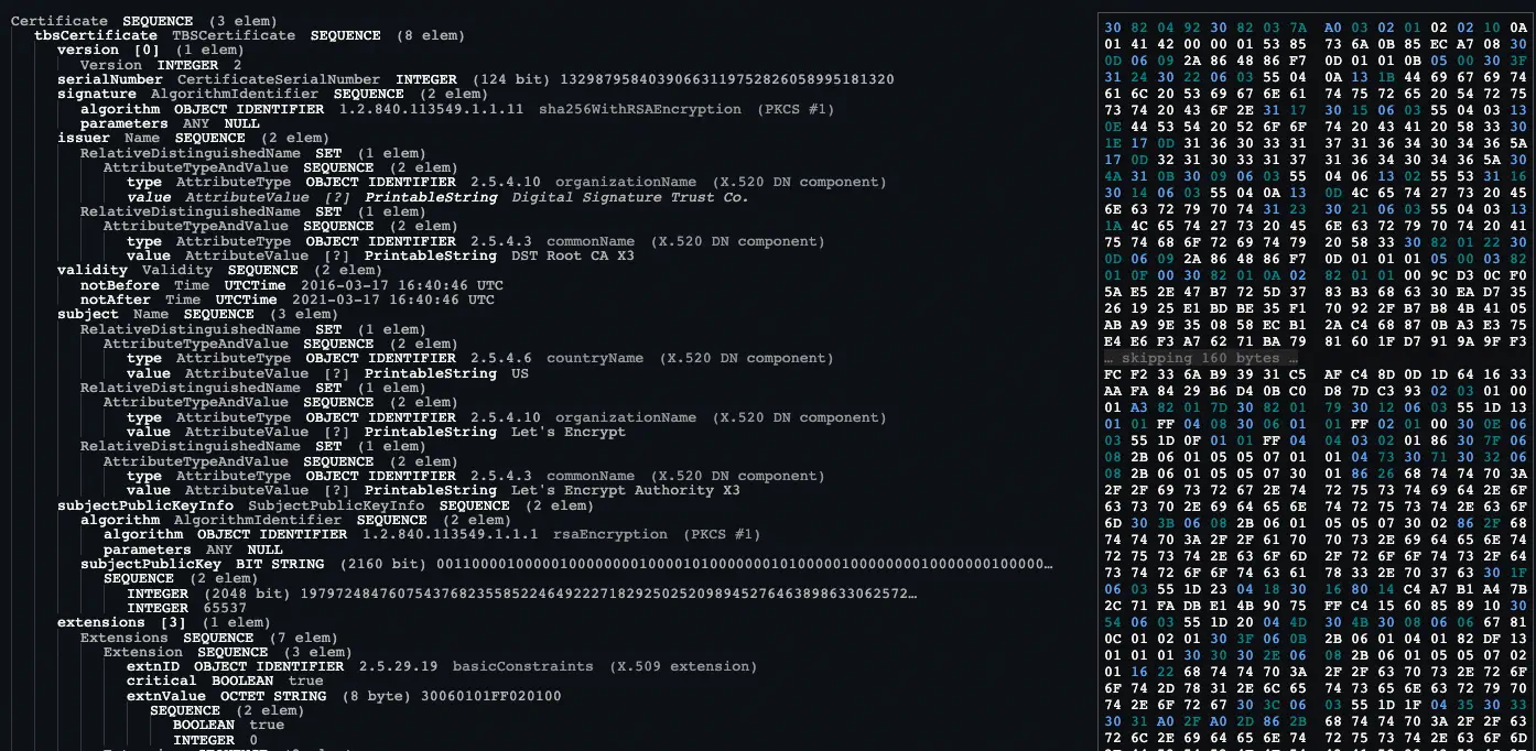Decoded ASN.1 certificate
