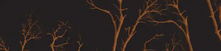 Why Your Perforce Branch History Is Missing in Git